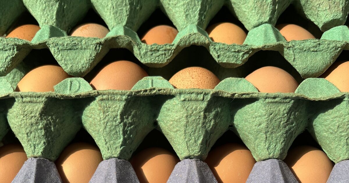 Endroit exact pour conserver les œufs alors que le débat sur le stockage est réglé : réfrigérateur contre placard