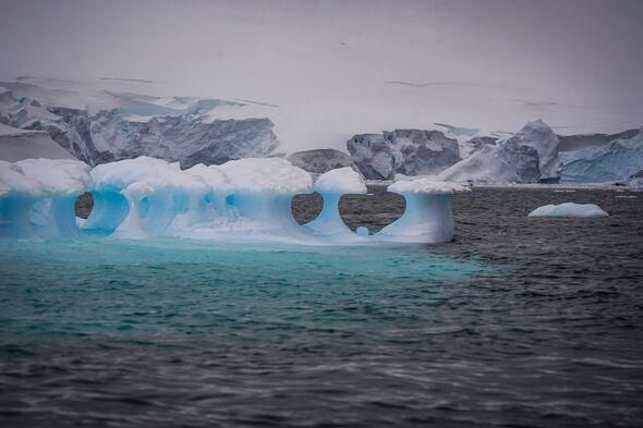 Des plastiques ont été trouvés dans le sol des zones sèches du continent glacé