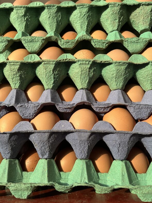 Barquettes en vrac d'œufs de poule frais fermiers