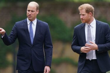 Famille royale EN DIRECT : La « priorité » brutale empêchant le prince William de retrouver le prince Harry