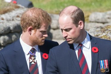 Famille royale EN DIRECT : le prince William a demandé à voir le prince Harry lors de son prochain voyage au Royaume-Uni