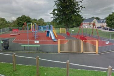 Fille de 11 ans, gravement agressée sexuellement près d’une aire de jeux – un homme d’une quarantaine d’années soupçonné de viol