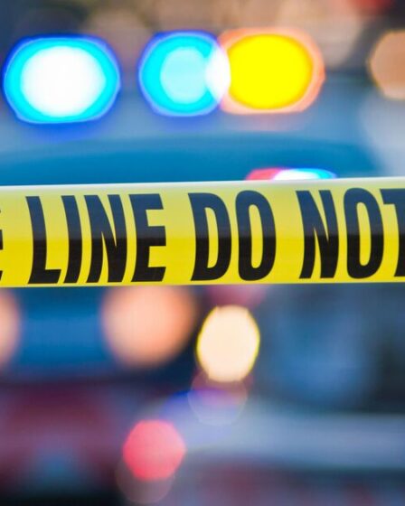 Horreur : une femme victime d'un viol collectif lors d'un pique-nique et d'une attaque filmée et partagée