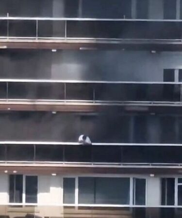 Incendie d'Anvers EN DIRECT : plusieurs personnes sont mortes dans l'incendie qui dévore l'immeuble Linkeroever