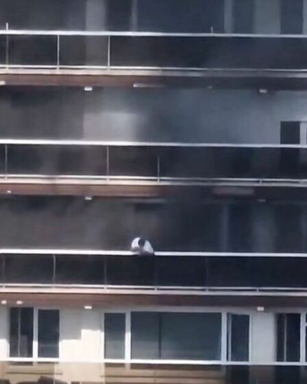 Incendie d'Anvers EN DIRECT : plusieurs personnes sont mortes dans l'incendie qui dévore l'immeuble Linkeroever