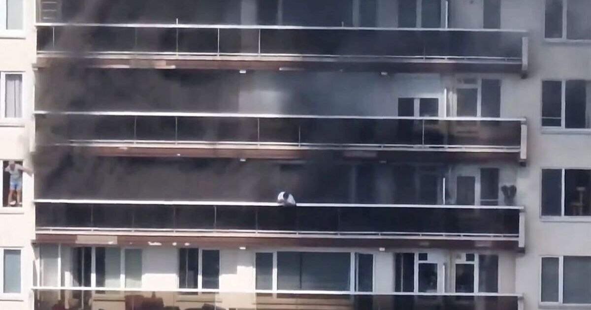 Incendie d'Anvers EN DIRECT : plusieurs personnes sont mortes dans l'incendie qui dévore l'immeuble Linkeroever