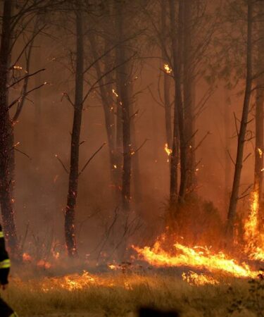 Incendie de forêt en France EN DIRECT : un incendie d'horreur s'approche de Bordeaux alors que l'incendie risque de durer "plusieurs mois"