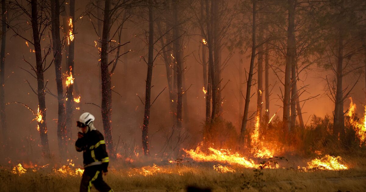 Incendie de forêt en France EN DIRECT : un incendie d'horreur s'approche de Bordeaux alors que l'incendie risque de durer "plusieurs mois"