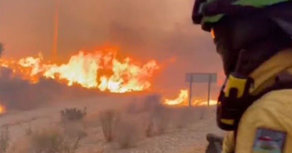 Incendies de forêt en Espagne MISES À JOUR : Au moins 4 « Britanniques » morts alors que le feu ravage Almeria
