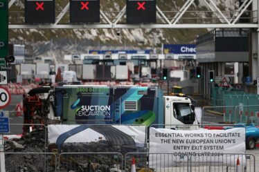 Les Britanniques pourraient « mourir à la frontière » pendant 12 heures d'attente en raison des nouvelles règles européennes sur les passeports